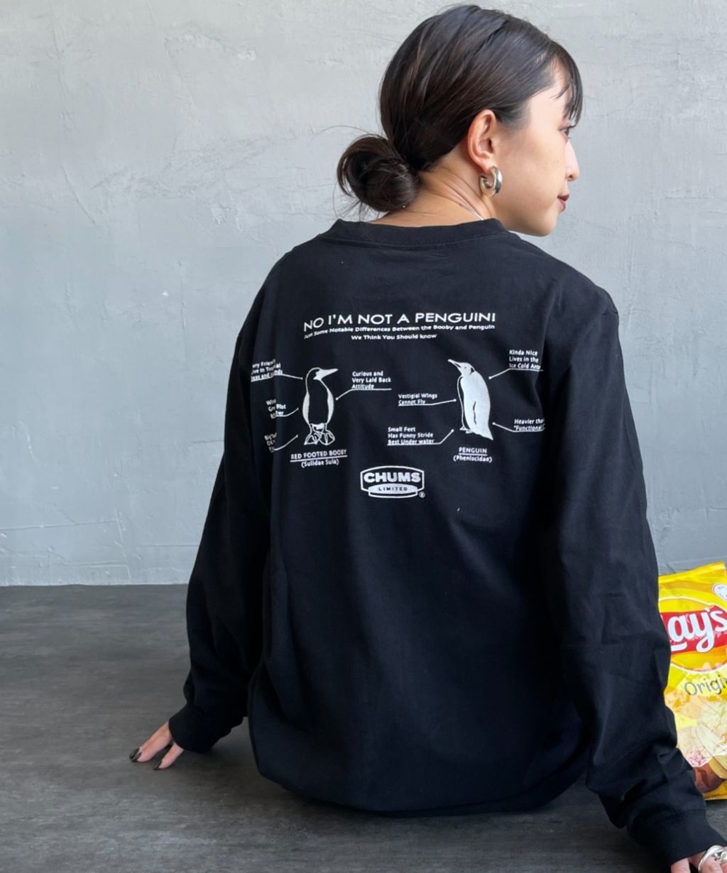 wsxc1758646718261_11