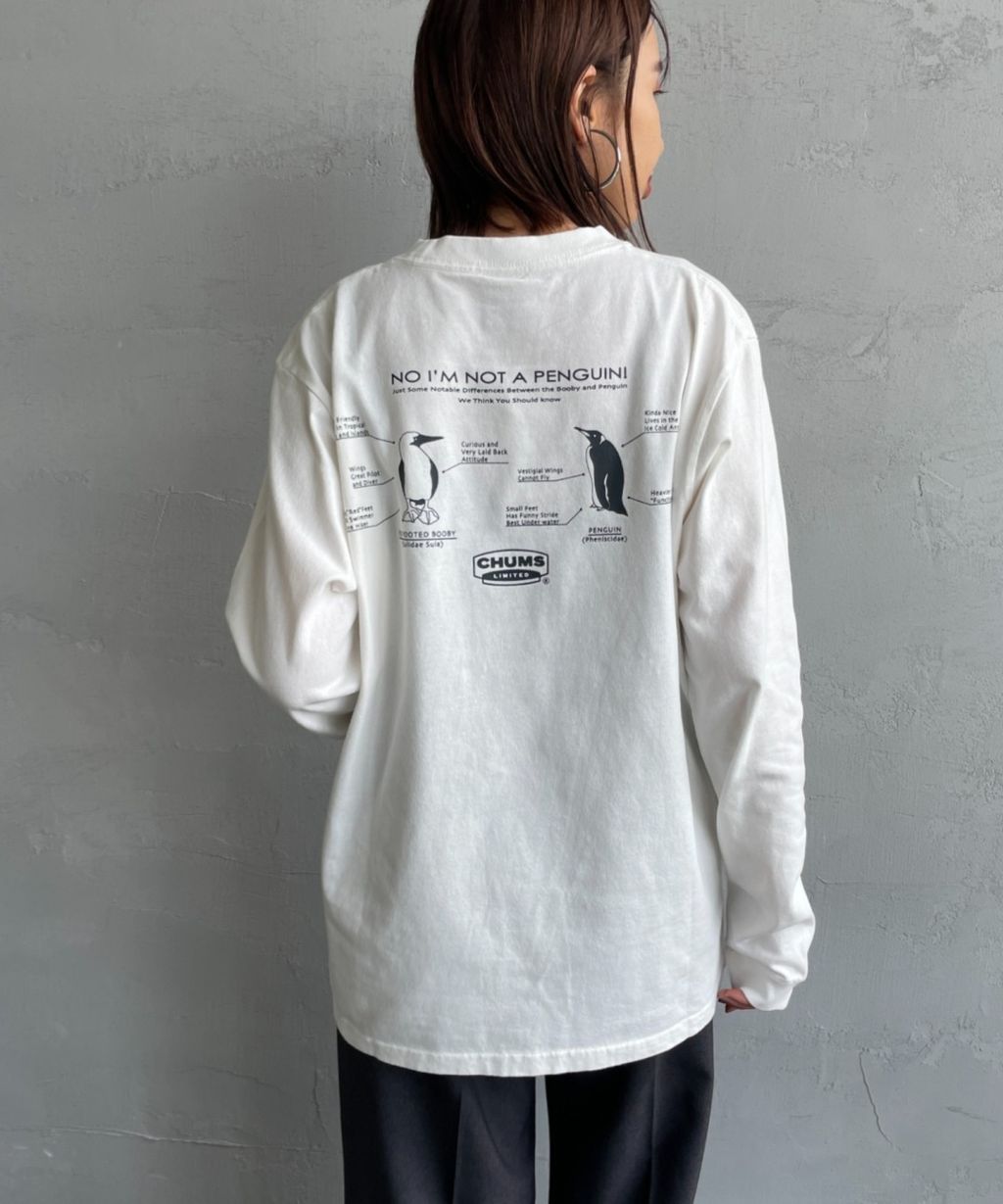 wsxc1758646718473_18