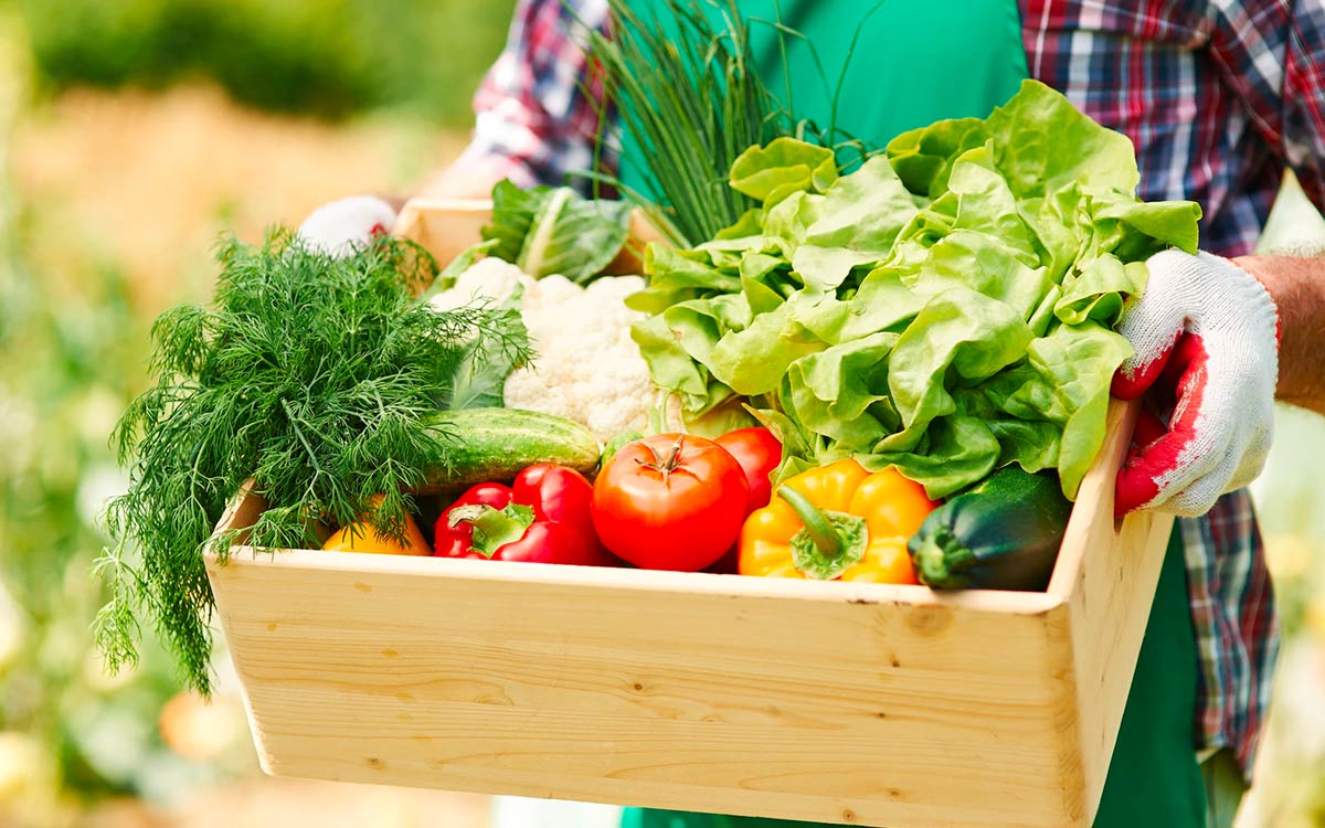 6 Helpful Tips When Buying Vegetables For Your Home