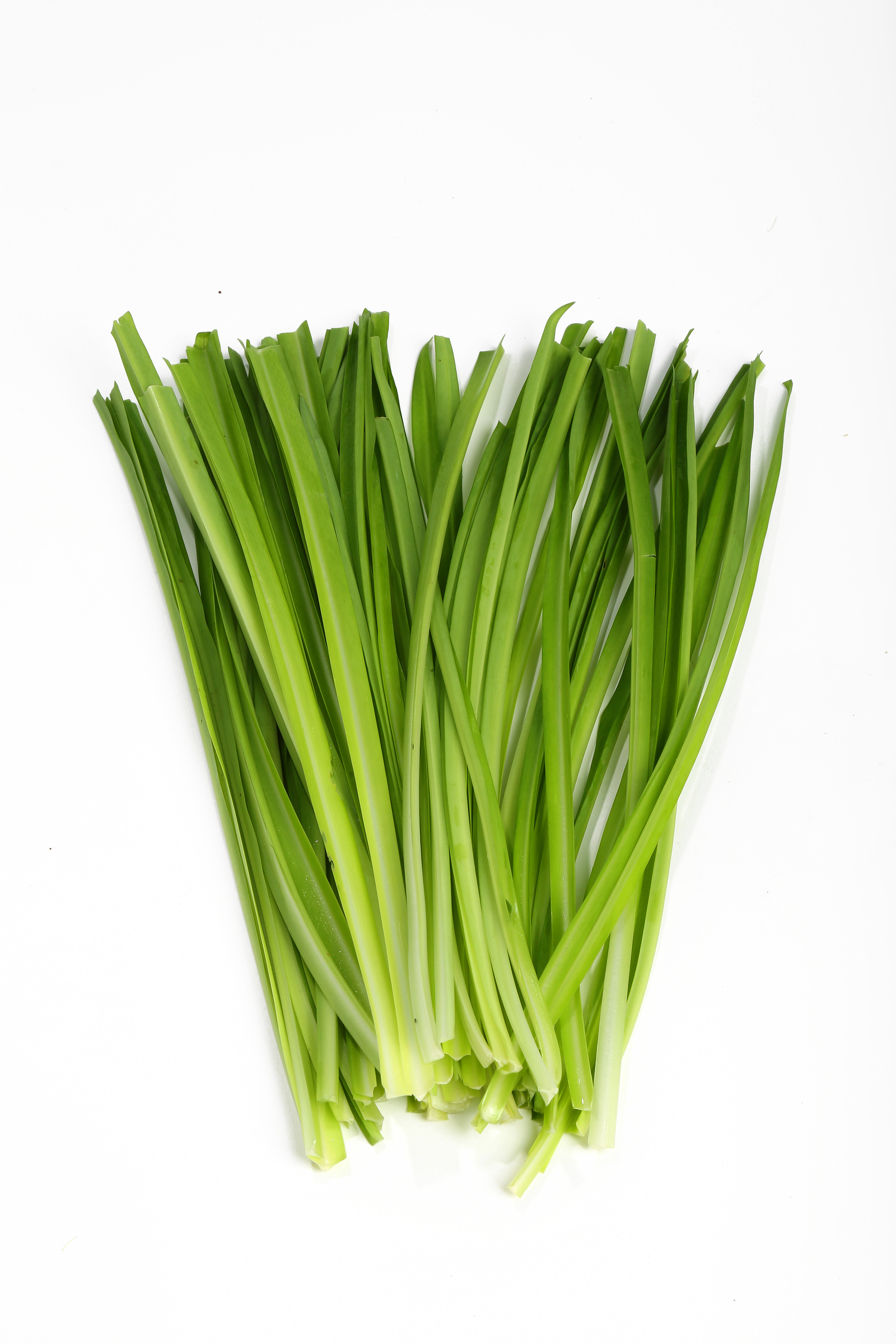 Dragon Chives (Dragon Vege) (2)