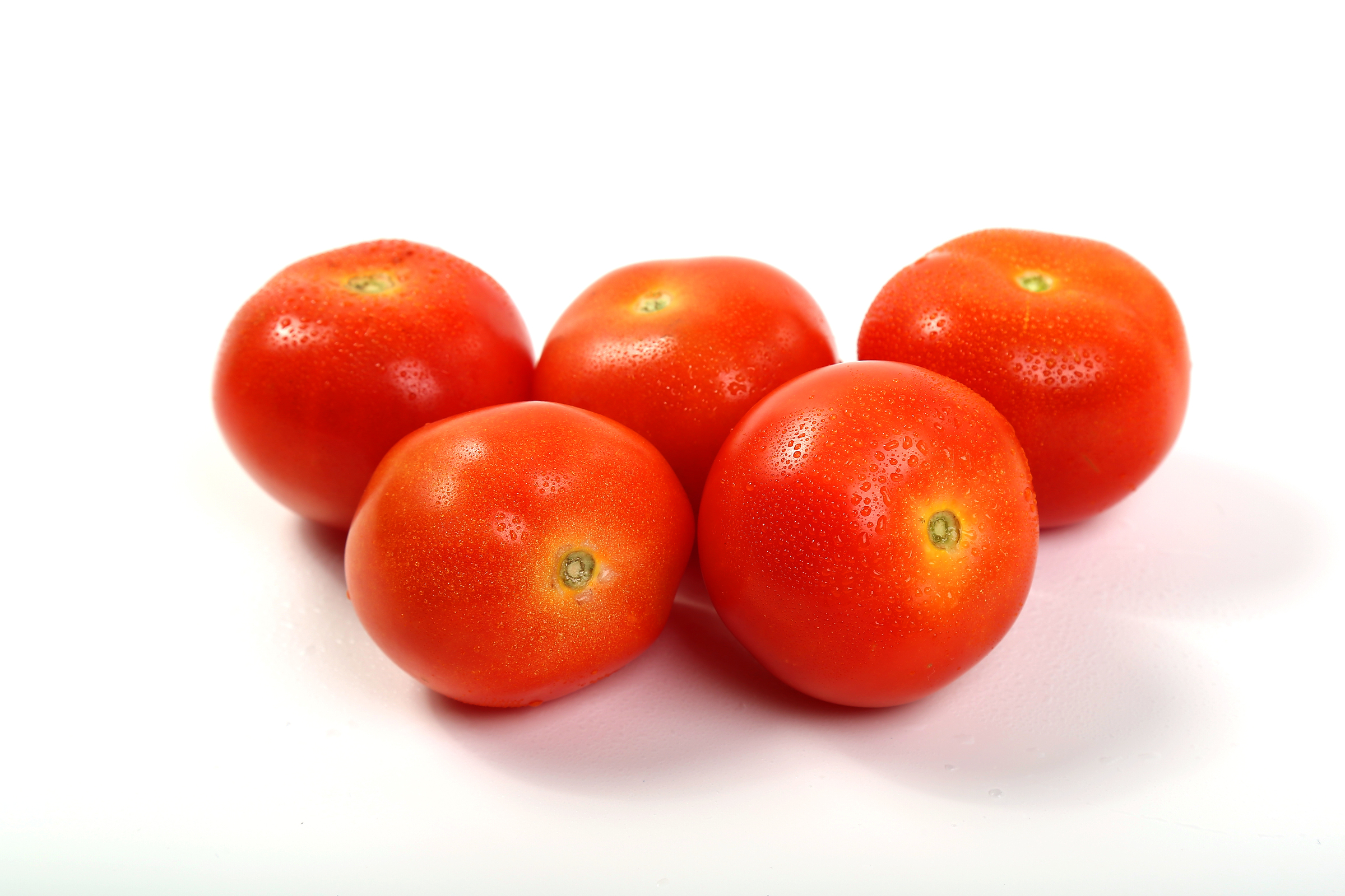 Tomato