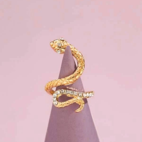 Untitled design - 2022-01-08T163828.781.png