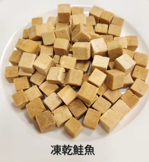 凍乾鮭魚