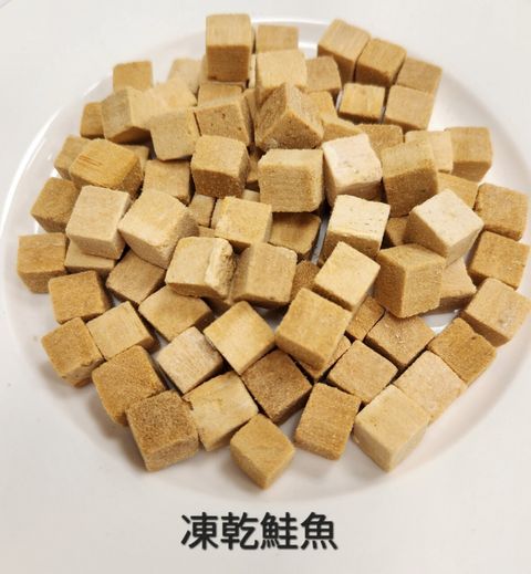 凍乾鮭魚