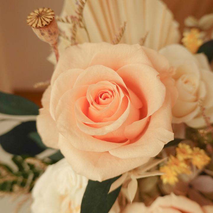 DSC01402