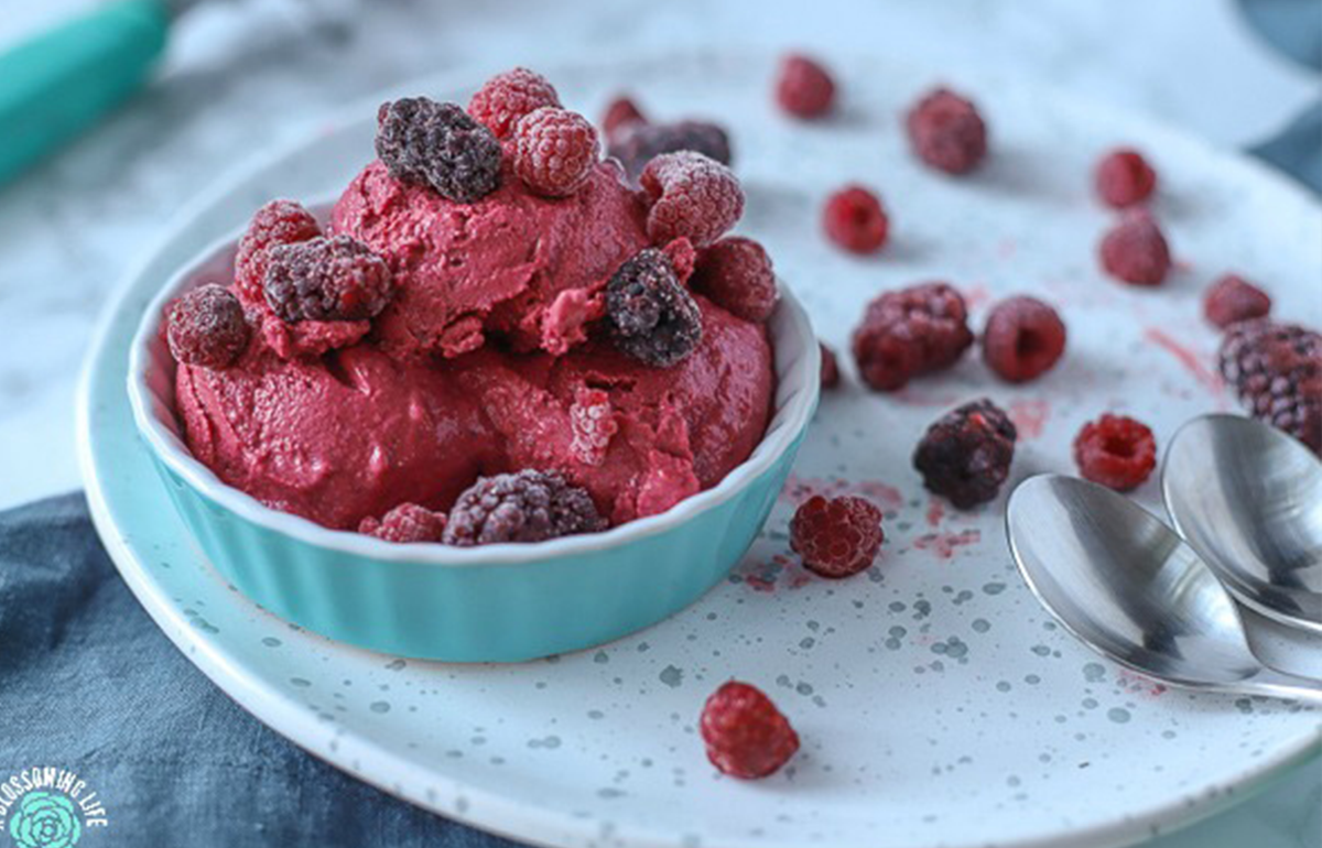 Baobab Berry Frozen Yoghurt