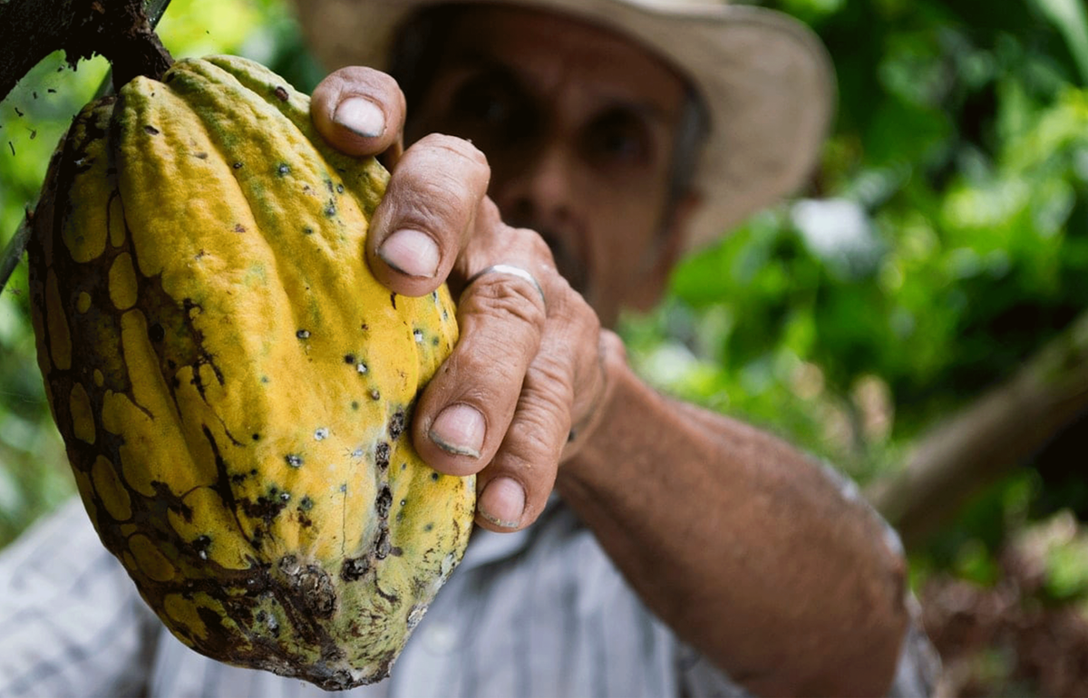 CACAO FOR KIDS: SNACKTIME CAN BE HEALTHIER… AND SWEETER