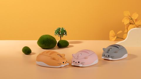 Akko-Cat-Theme-Mouse-XQ-GX