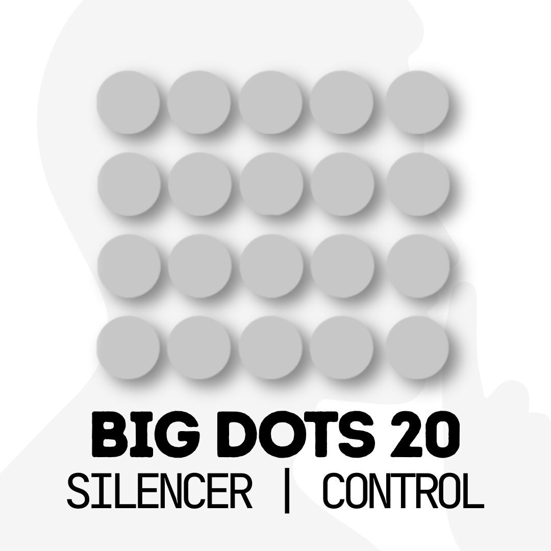 SILENCER BEAST X MINI (2)