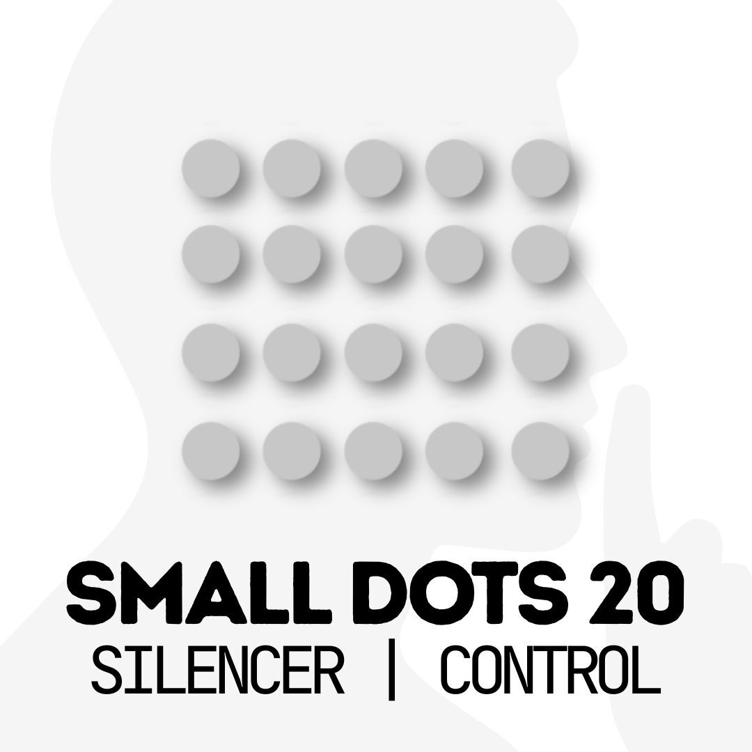 SILENCER BEAST X MINI