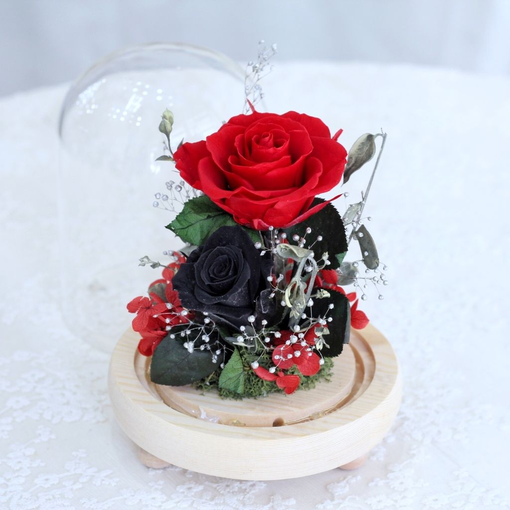 B6B65573-0F7A-4C23-A651-29A89DD8C2F2