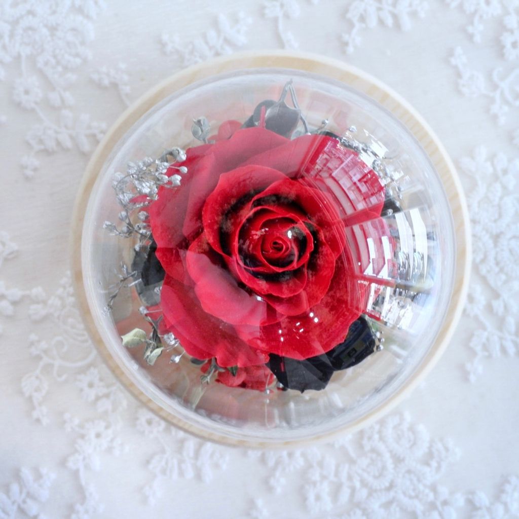 A33D5649-BB84-43B7-A3D5-D0CC25867A27