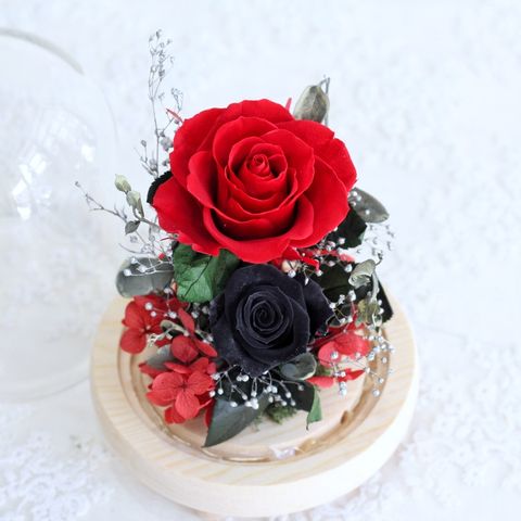 AE1380EE-CB65-444C-A5CC-F8D887935615