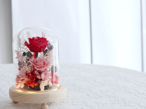 EBEE0195-D9DE-4604-9FB8-890F5E51B94F