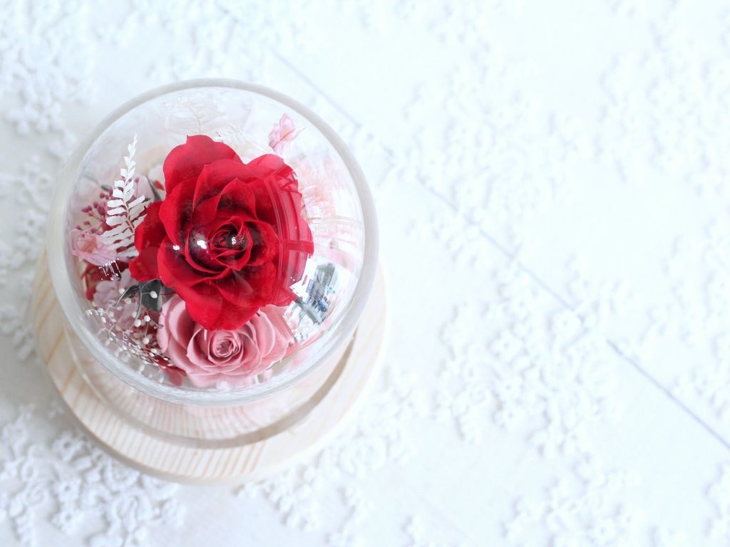 39485132-BC78-4D49-B34D-B62791996BE0