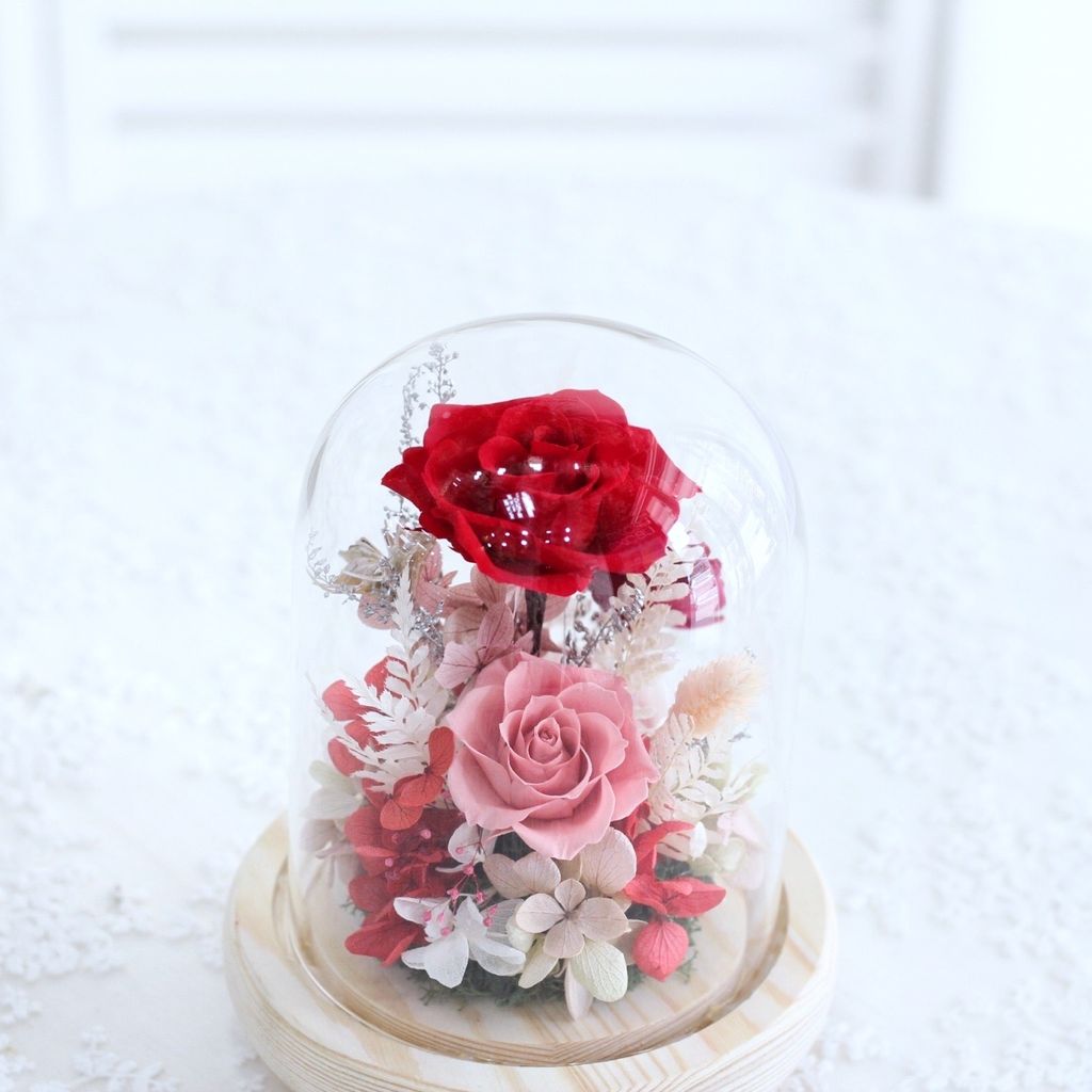 663DD085-7A2A-4D66-BD65-A835016CC0F9