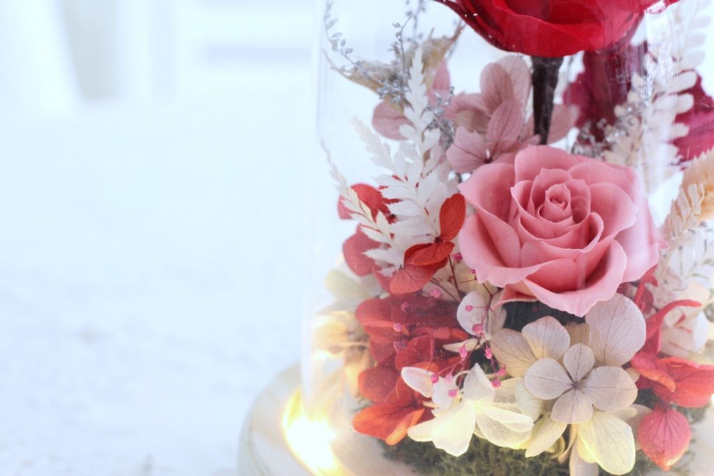 BDAF4491-543A-4CBA-A984-DE6C771EA67C