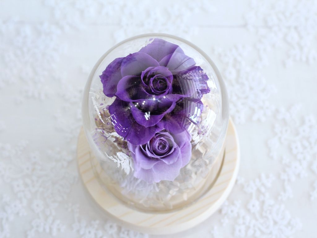 77979E20-FAFA-4DD7-9941-5AEAA8C56E57