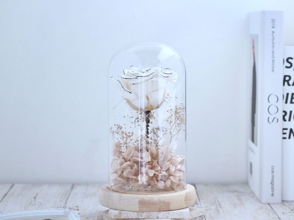 A5CAC89F-08B5-4DA4-93DB-49A786B12159