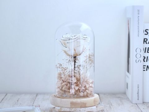 A5CAC89F-08B5-4DA4-93DB-49A786B12159