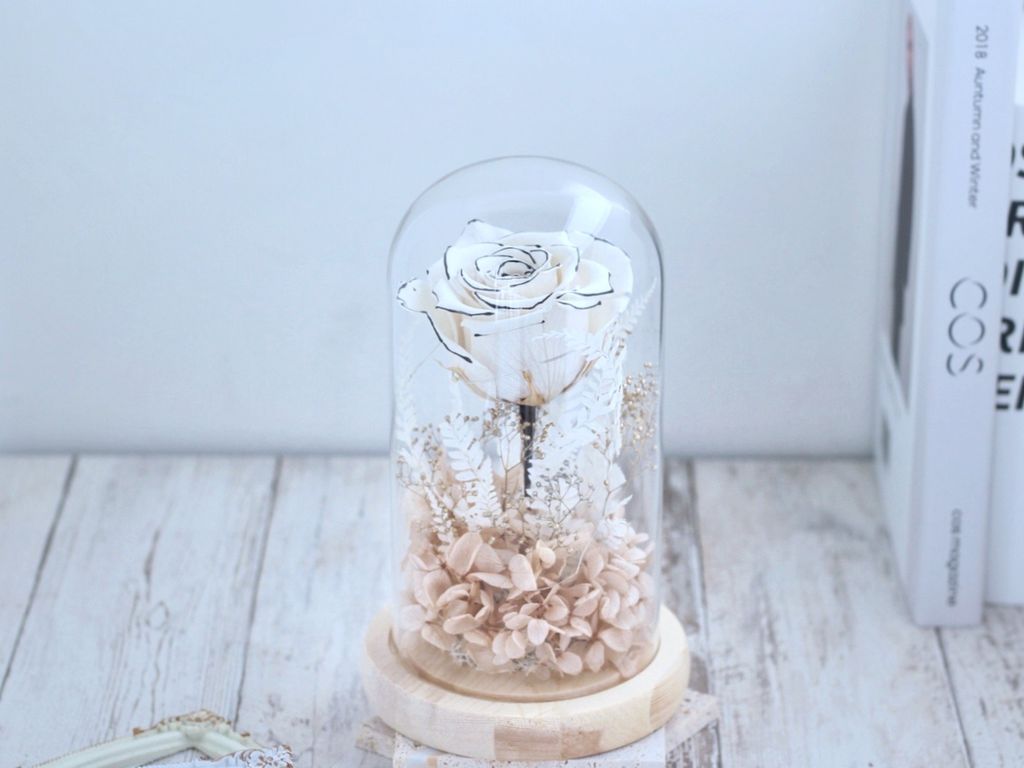 17C7D6AB-ED72-4BED-A92F-C6F9970BD7AC