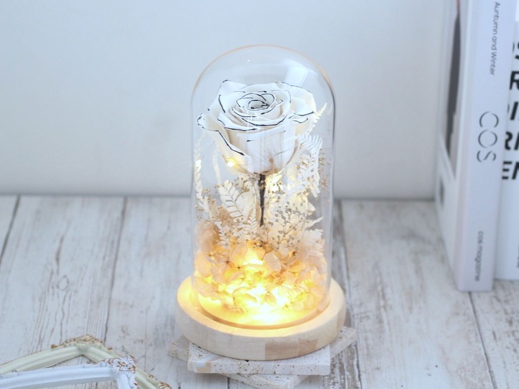 AE97ACBA-7F4B-4AE9-8956-70F4F3E4B7B1