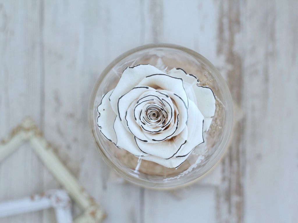 506EE11F-307C-418C-888F-15CE0AFE3546