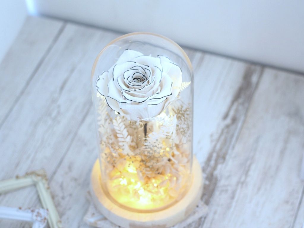 D22F85EC-80EE-4AD6-8C73-471A12F13EF4