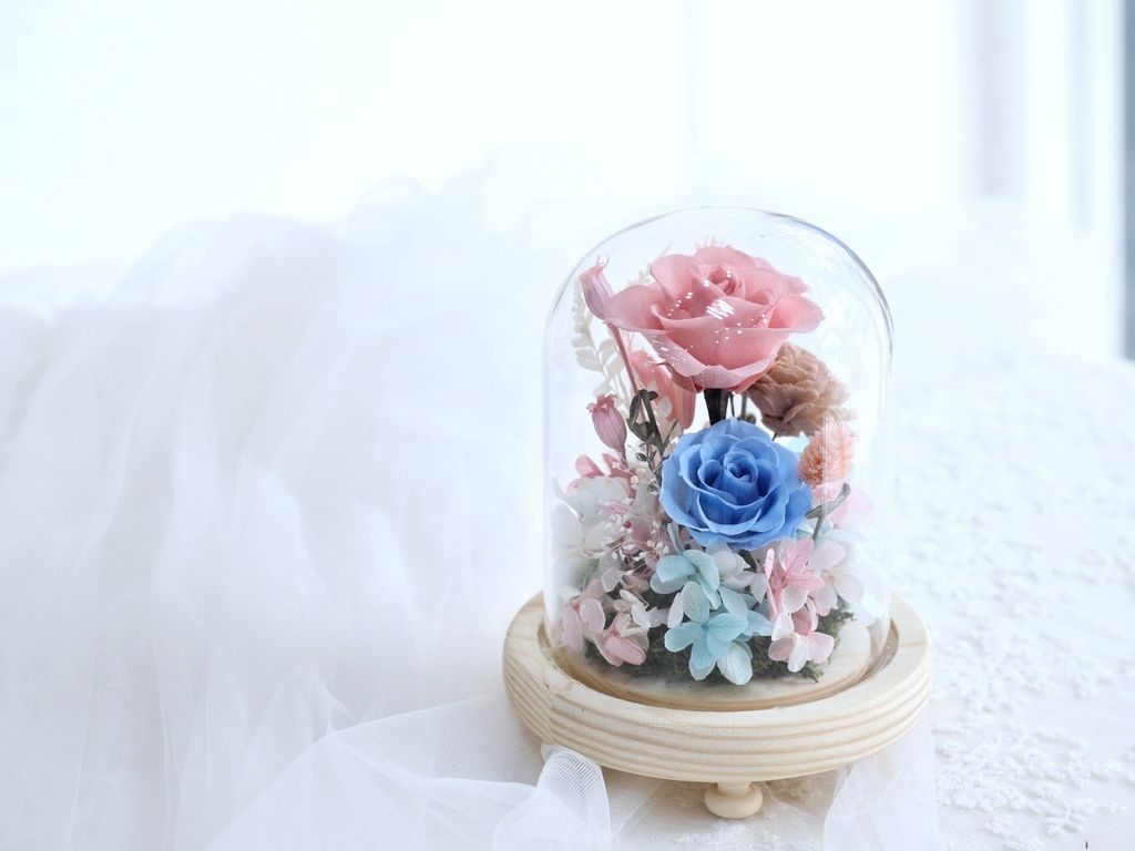 02C97198-2368-4BA5-842F-2FC338509C8A