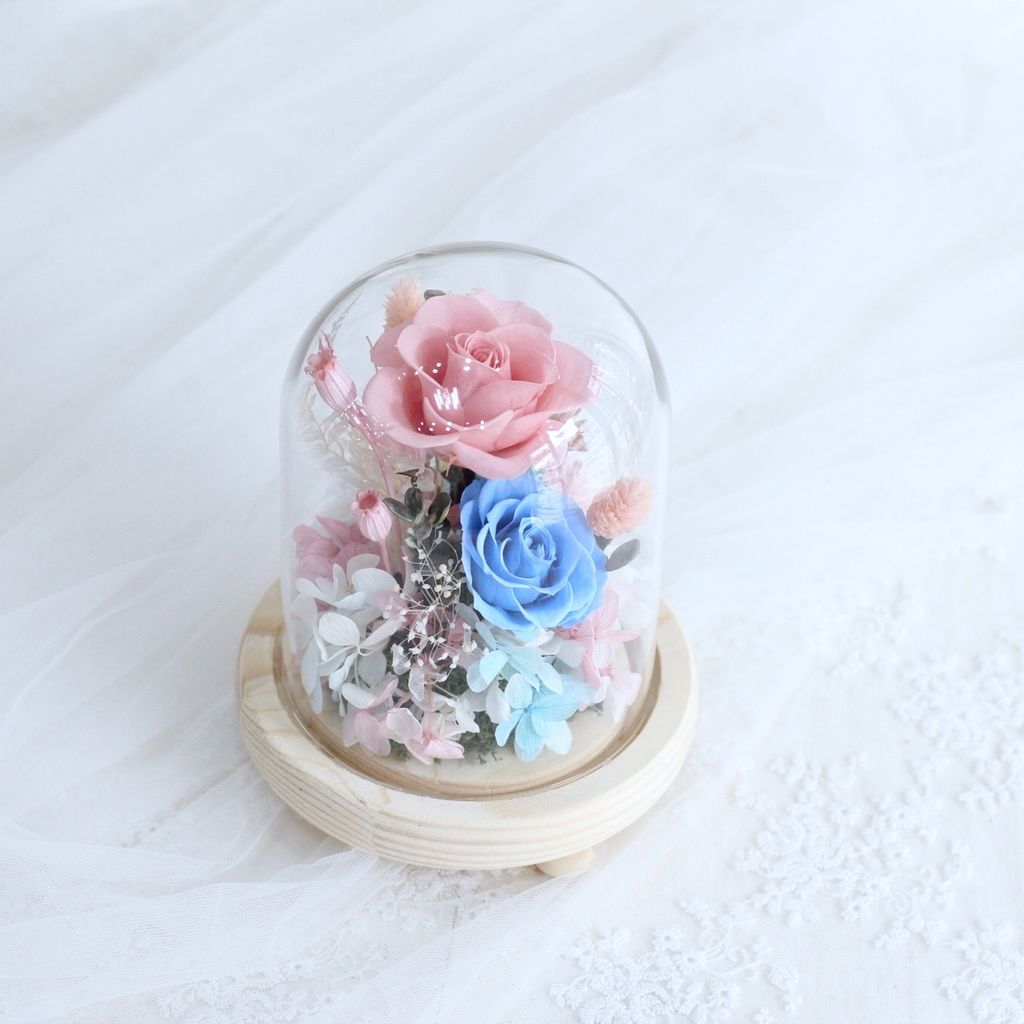 DCD94C3D-DBDE-4B03-962A-2F3F15954926