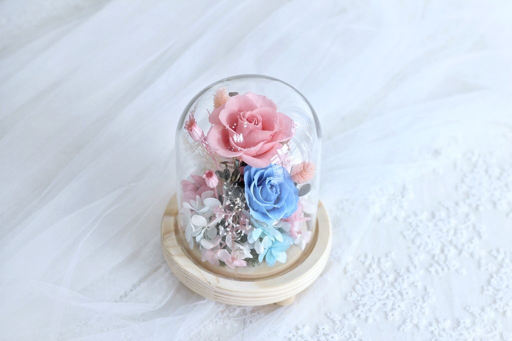 38D12153-D6CA-406F-BA2D-A577C8951BBD