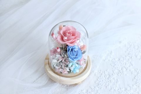 38D12153-D6CA-406F-BA2D-A577C8951BBD