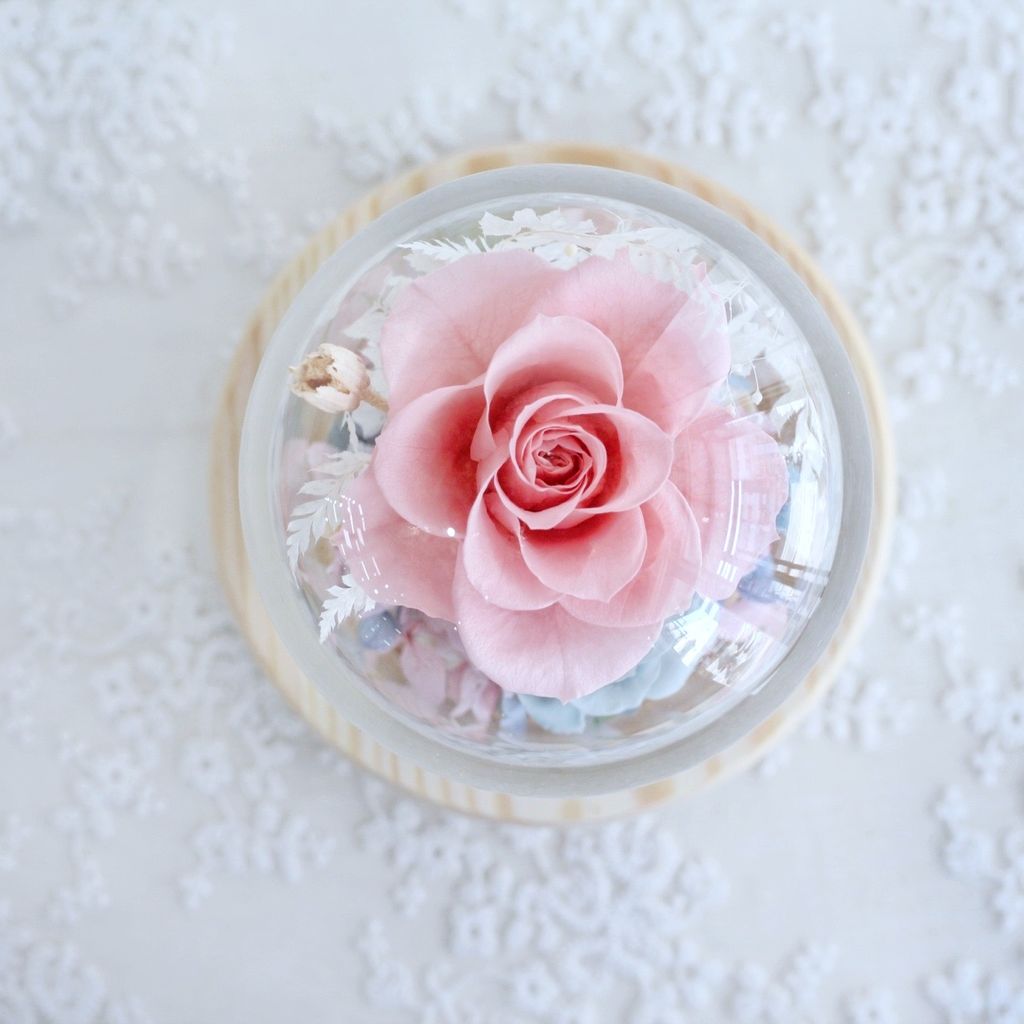 7F1707D5-D72E-46F3-AADA-47254095341F