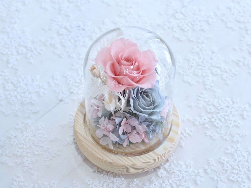 688CD76D-D2B2-4BAA-B121-2C0472F6FB46