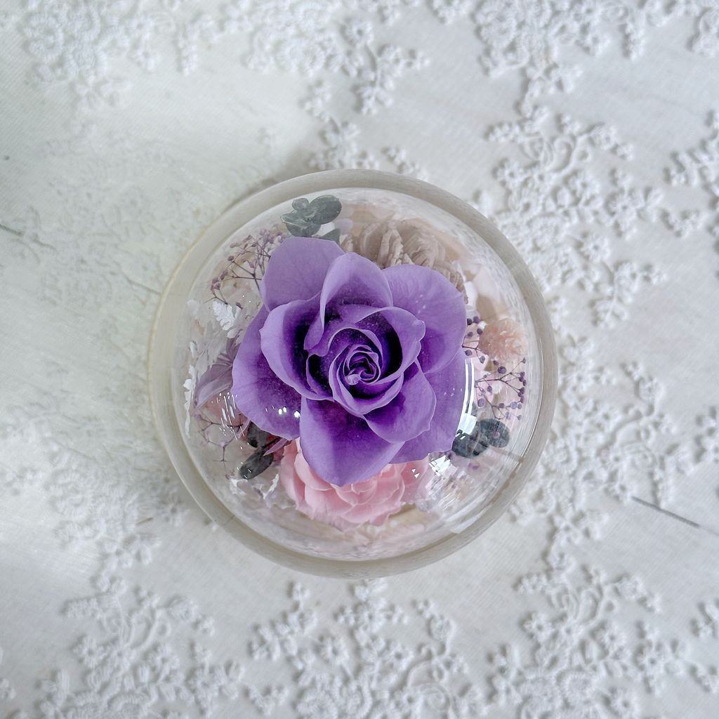 123D2532-A4DF-4A3E-9224-818D97475F12