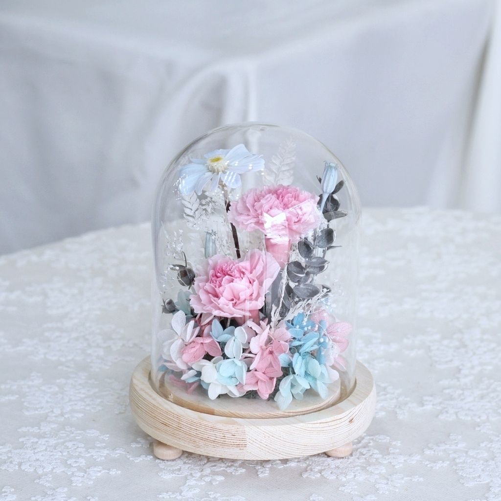 BA21A1F5-1FAB-4052-8D62-B16E26B6BD60