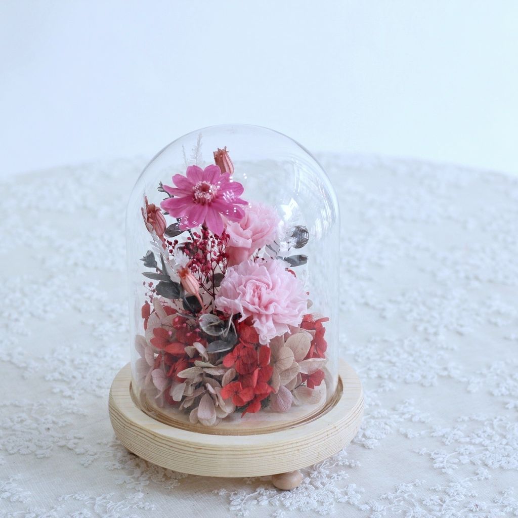 F0F8E487-A988-4007-841B-287663443AFE