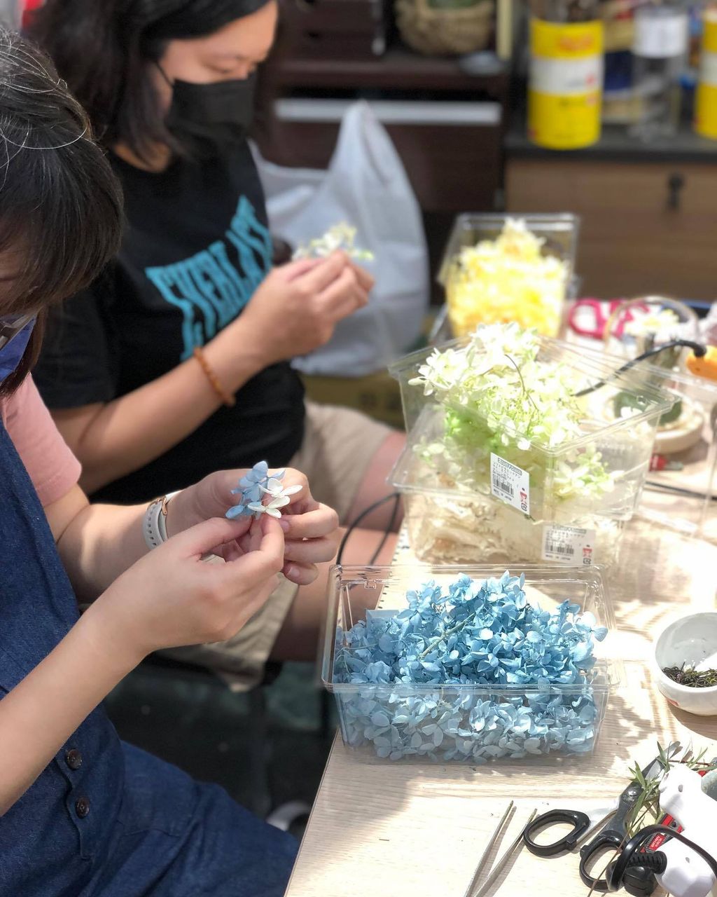 312952390_503090741833752_5288082346834278039_n