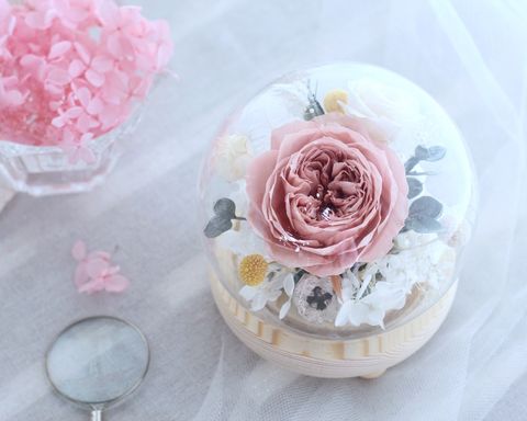 IMG_2802_SnapseedCopy