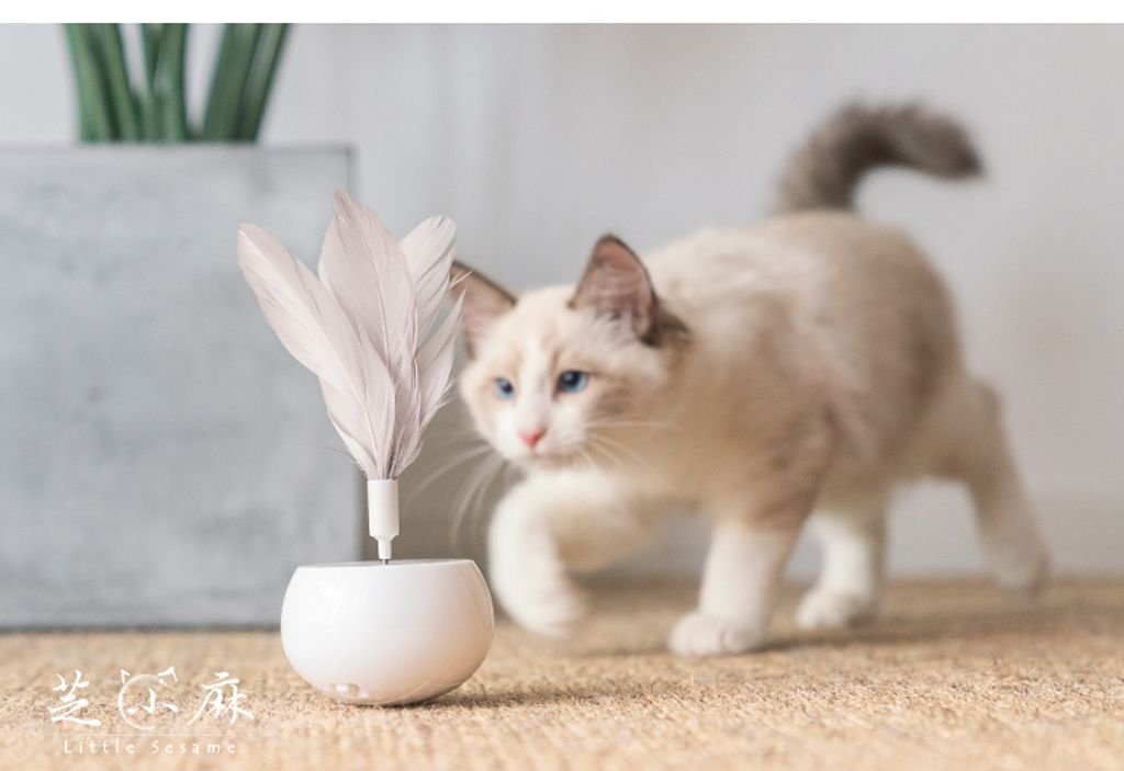 O1CN01Rd0E2P2G8leNwGzdS_!!3389808971__84157