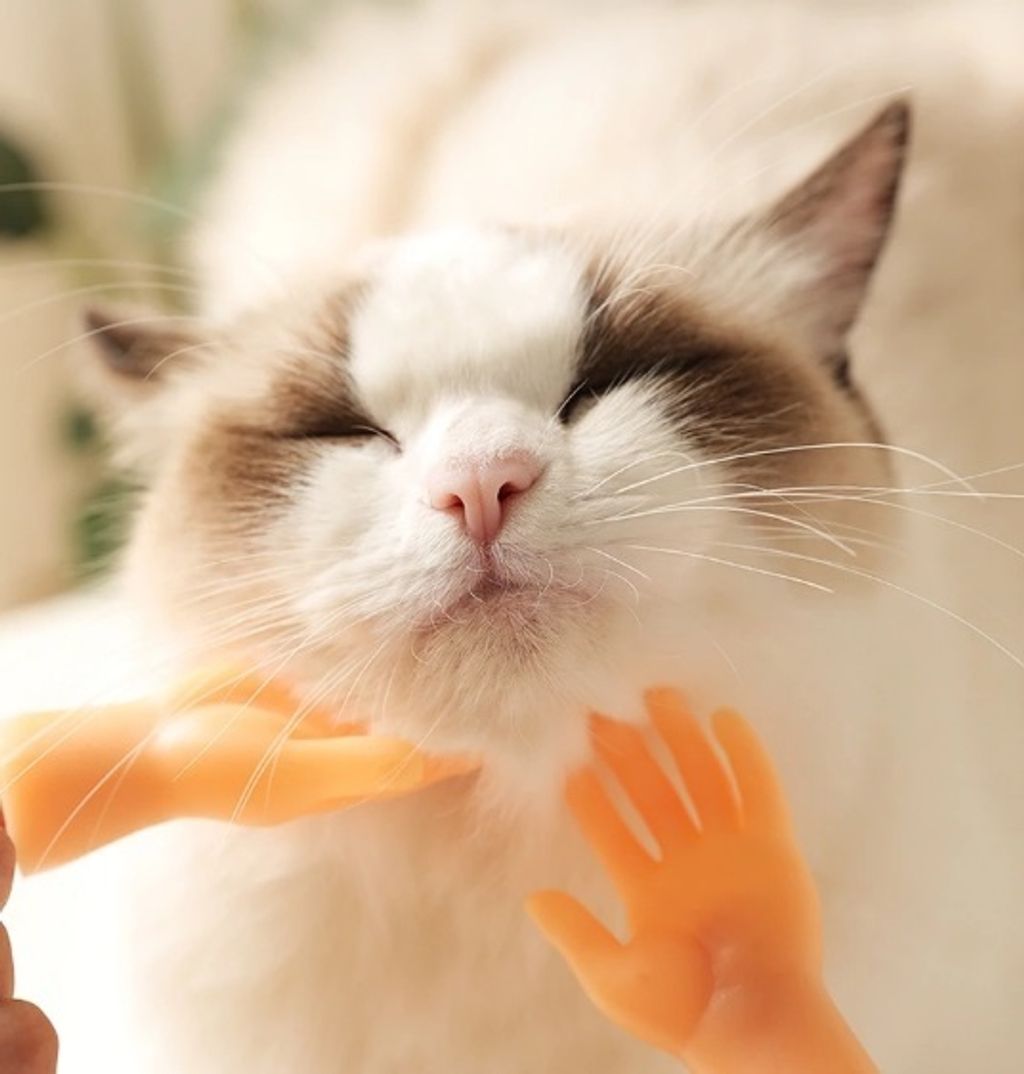 O1CN01V2CEMy1WC0DaQzMsk_!!1629342751__85066