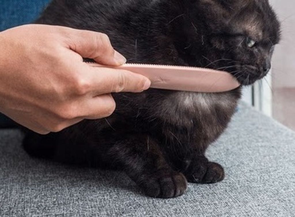 O1CN01CElMO41QyC5PO9SOg_!!2218832044.png_430x430q90__33752