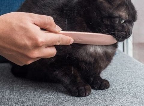 O1CN01CElMO41QyC5PO9SOg_!!2218832044.png_430x430q90__33752