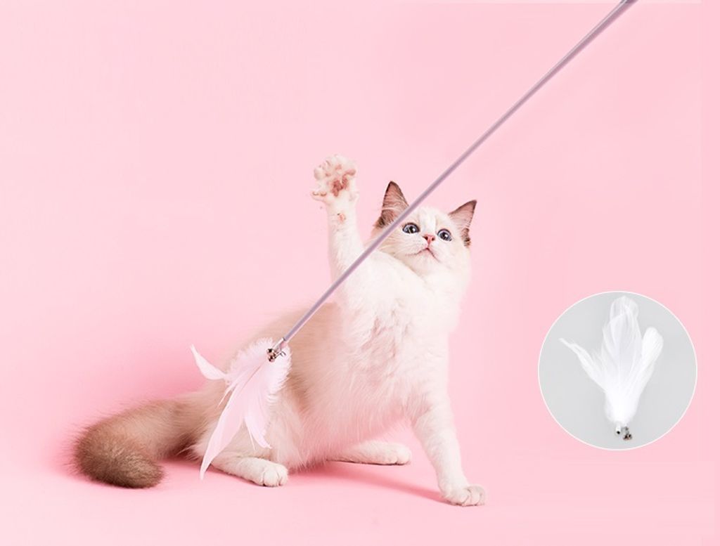 O1CN01muUBl81Ip1O2J6tE4_!!2211519120941__33841