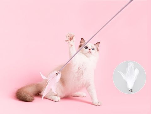 O1CN01muUBl81Ip1O2J6tE4_!!2211519120941__33841