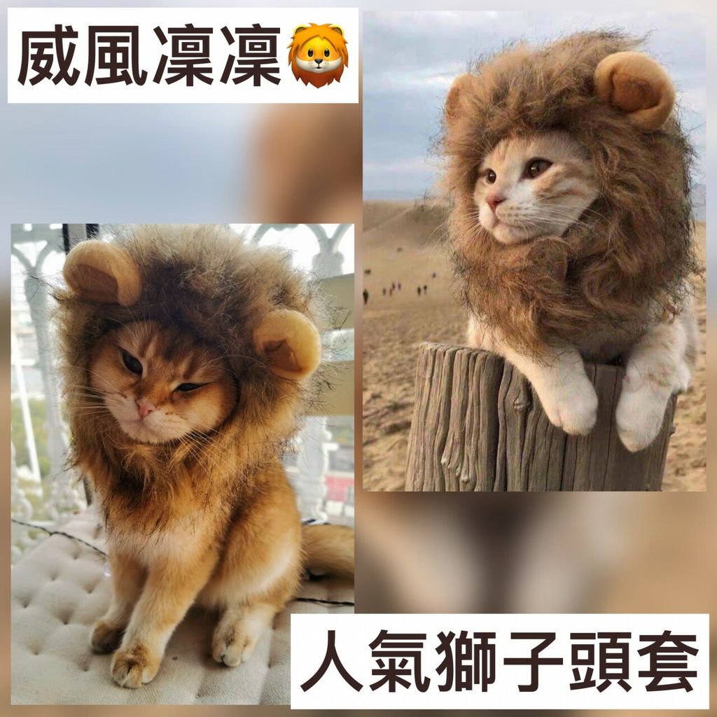 F273198B-E1FE-4066-9E47-ACA4D30F2B96__41218