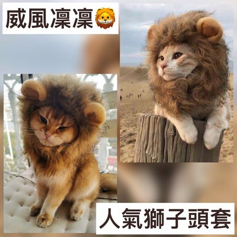 F273198B-E1FE-4066-9E47-ACA4D30F2B96__41218