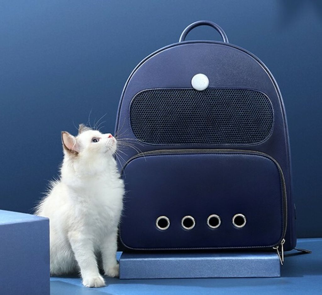 O1CN01XDacov1Ip1Ne6yLHB_%21%212211519120941__79350_zoom