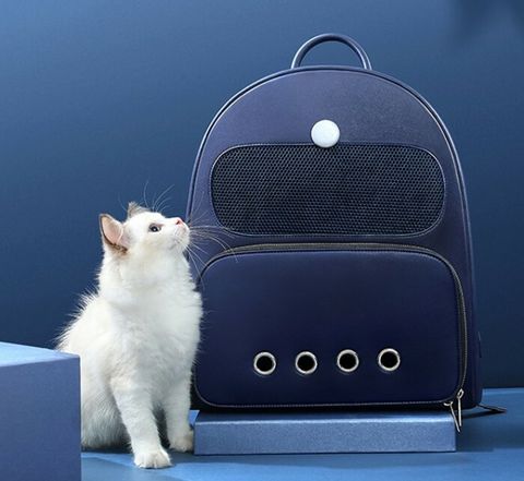 O1CN01XDacov1Ip1Ne6yLHB_%21%212211519120941__79350_zoom