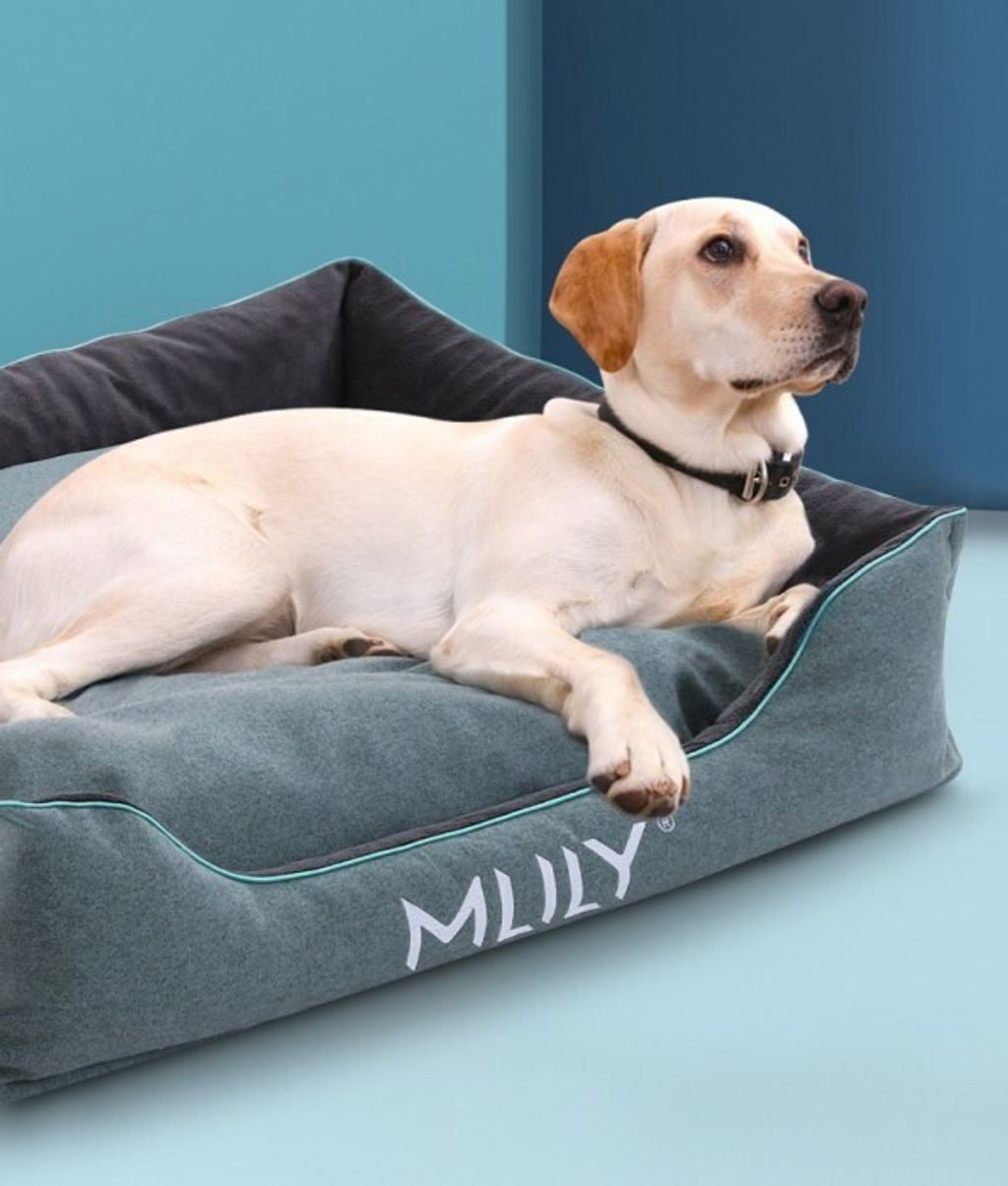 O1CN01kTH9XZ1LMZcPXA4uy_%21%211950231285__52999_zoom